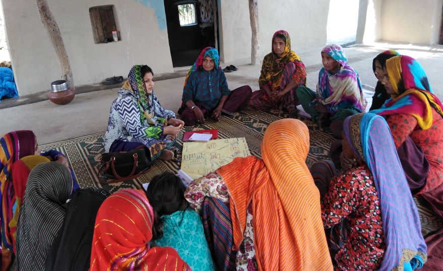 Sindh women farmers