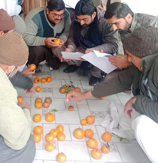A group of men inspecting oranges on a tiled floor.