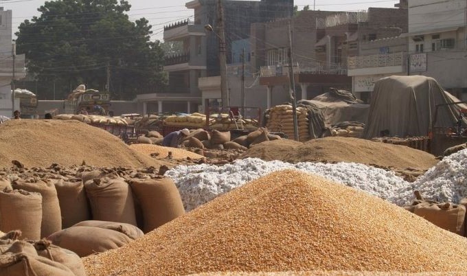 Grain market Pakistan