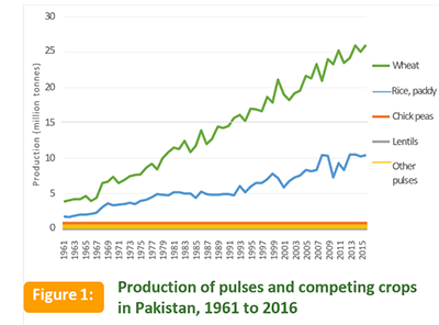 Production of pulses and competing crops in Pakistan 1961-2016
