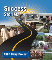 Success stories cover