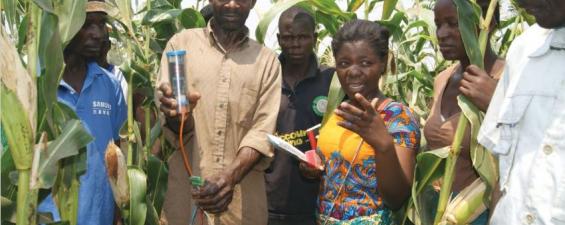  African Farmers using water sensors  