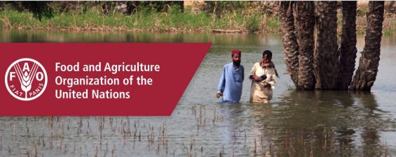 Climate Change impacting food security in Pakistan 