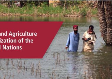 Climate Change impacting food security in Pakistan 