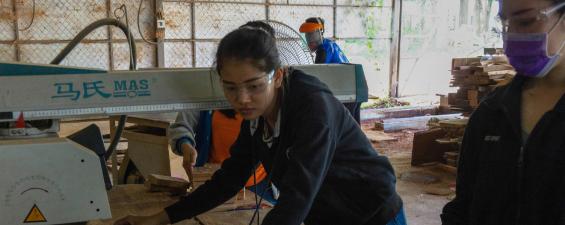 Laos wood forestry student