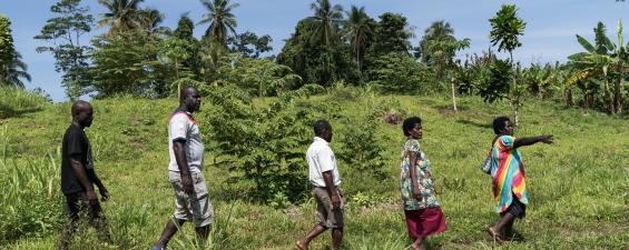 PNG smallholders