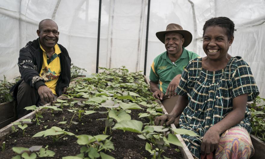 Johnny Wemin (Hat) from the Fresh Produce Development Agency visits Wasi and LIna Waukaw