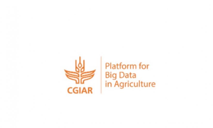 CGIAR Big Data logo