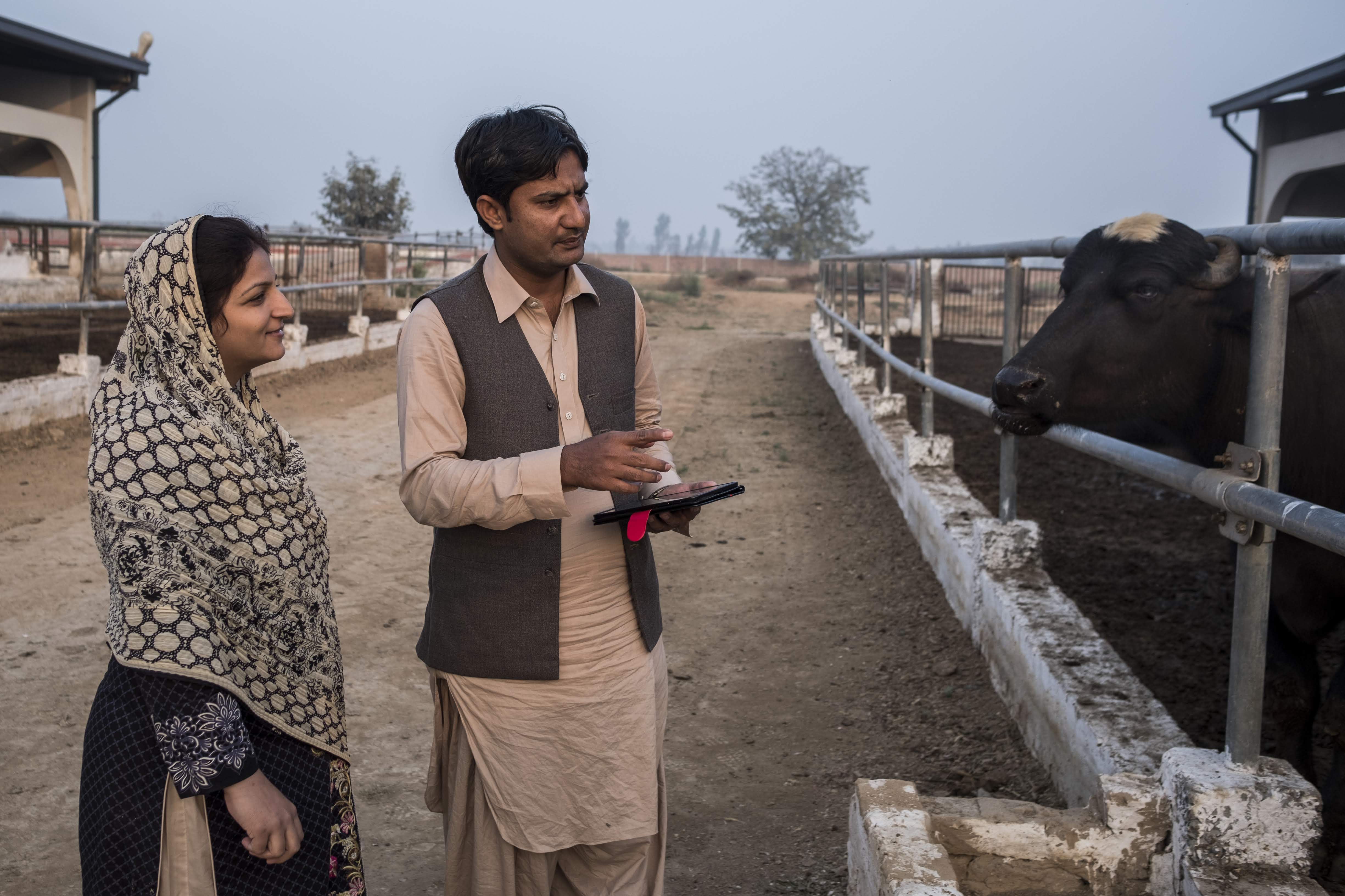 Sobia Majeed & Mohammad Aljaz demonstrate how the extension area advisors can use commcare surveys on a tablet. Sobia Majeed & Mohammad Aljaz  are both extension area advisors  based in Sindh Province of Pakistan.