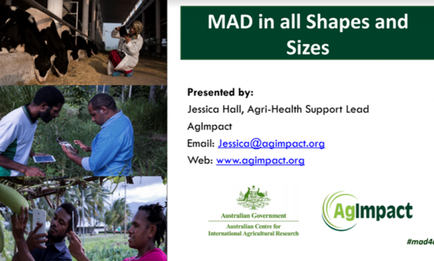 Front slide of MAD in all shapes and sizes presentation.