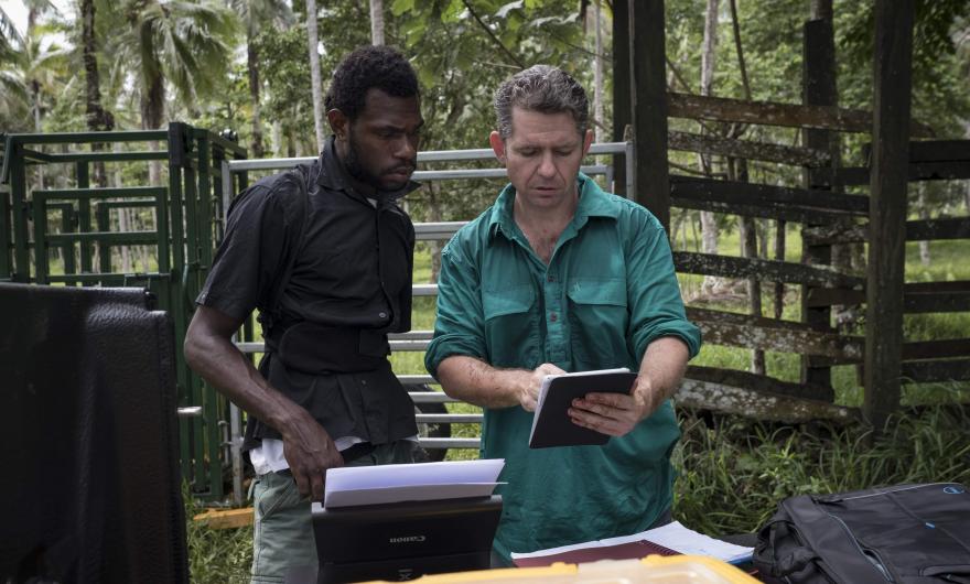 Simon Quigley from University of Queensland and agricultural extension officer Joseph Sul link review the commcare surveys and successfully manage to wirelessly print a list of Jean-Freddy's cattle that were weighed and tagged inside the Bisnis Blong Buluk mobile cattle crush.