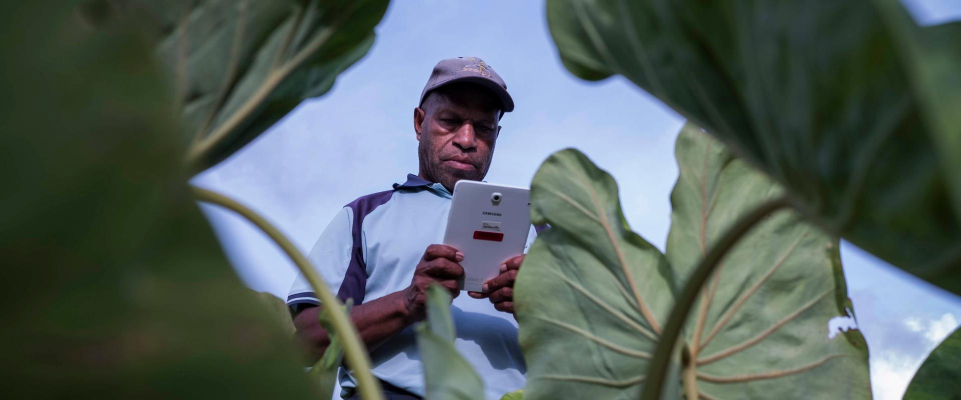 Johnny Wemin from the FPDA sweet potato project practices using tablets during a Commcare training delivered by AgImpact at the NARI research station in Leh, in Eastern Highlands Province of Papua New Guinea