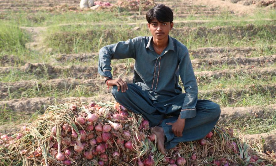 A young man sits on a pile of onions