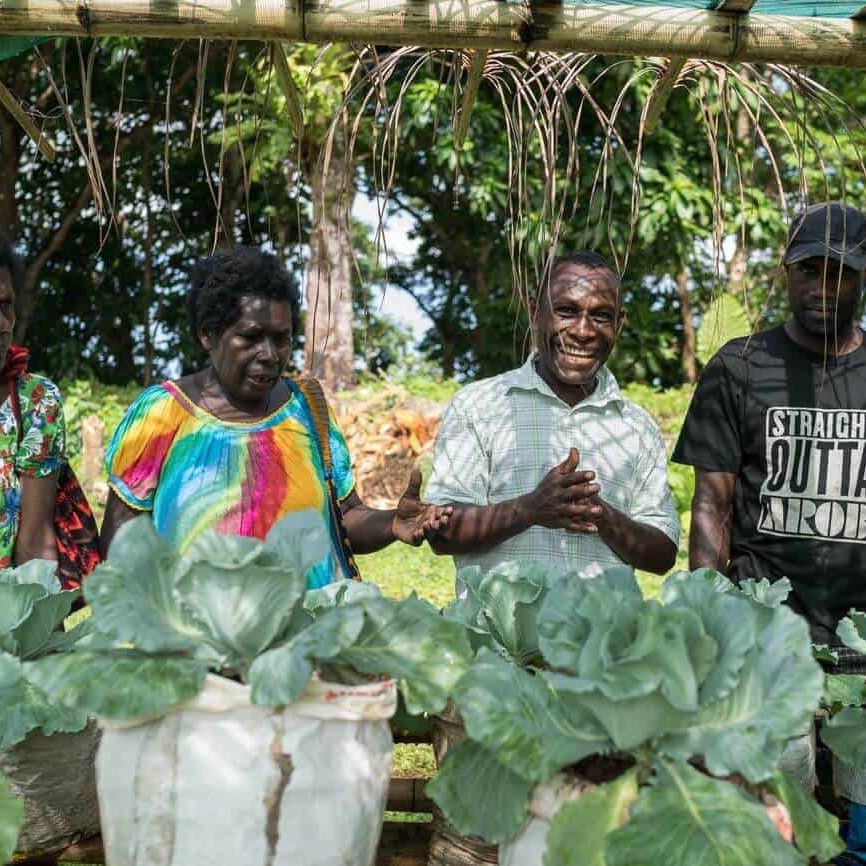 Family Farm Teams | Economic Development of PNG women & families