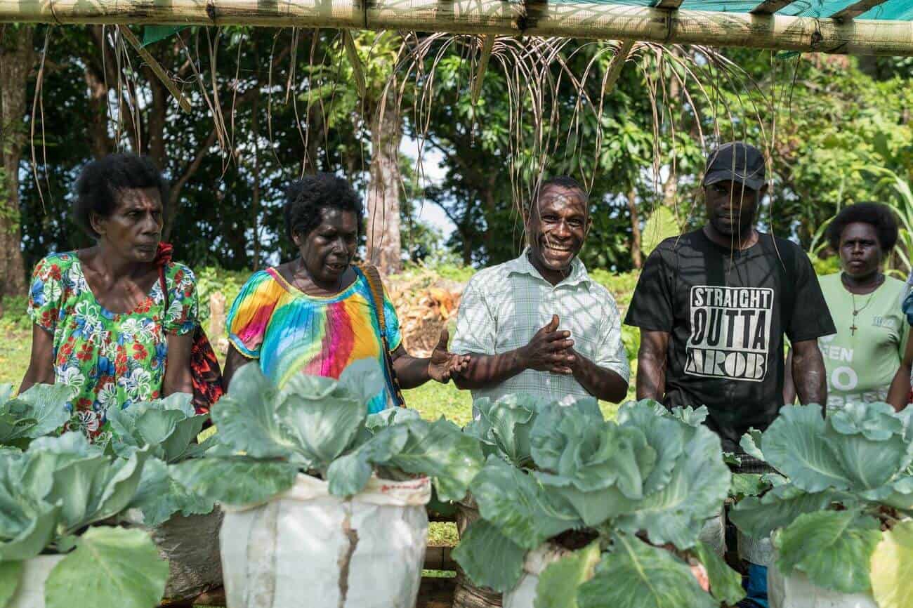 Family Farm Teams | Economic Development of PNG women & families