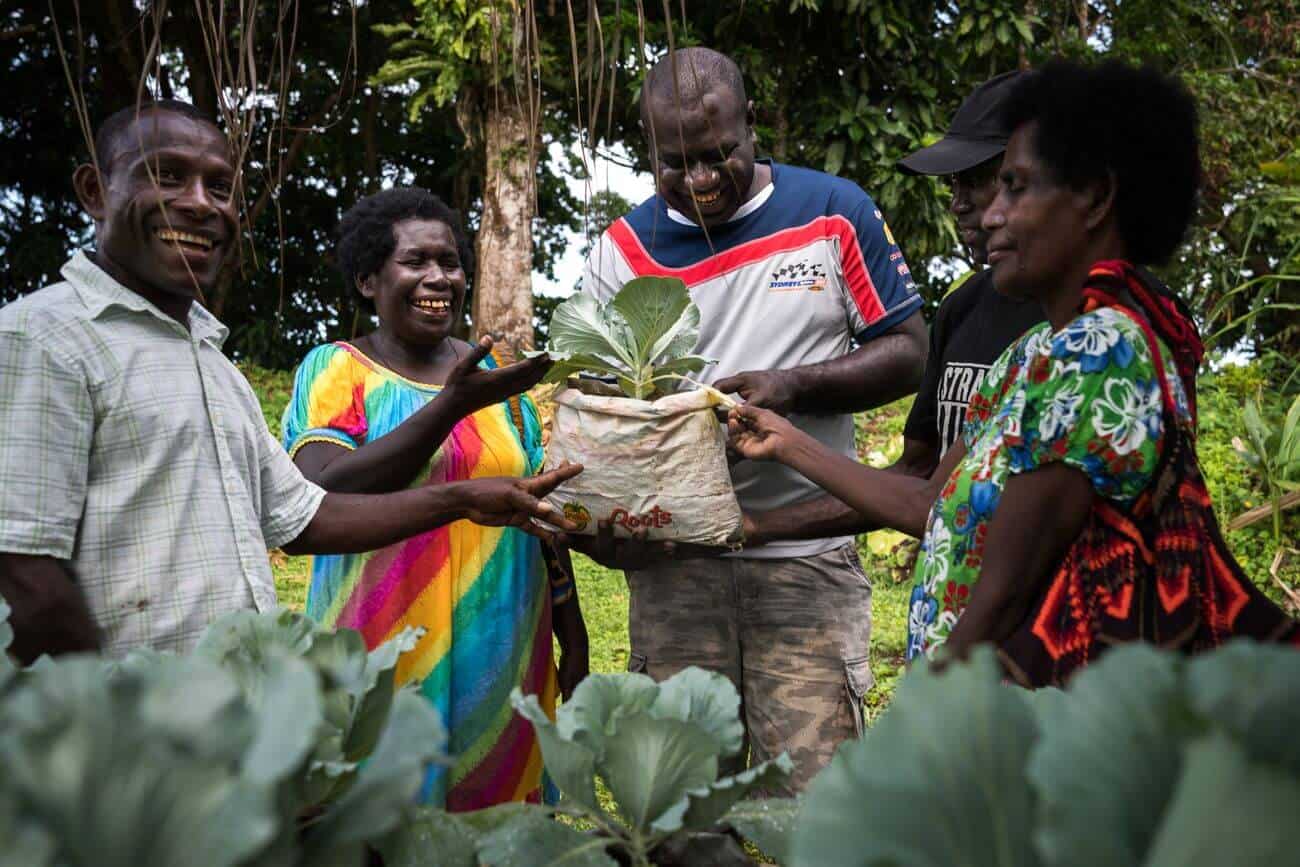 Family Farm Teams | Economic Development of PNG women & families