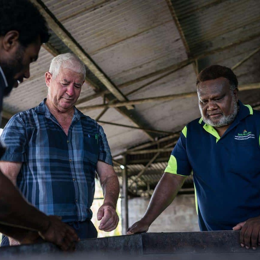 Trevor Clarke and Albert Nongkas inspect a cocoa fermenting box