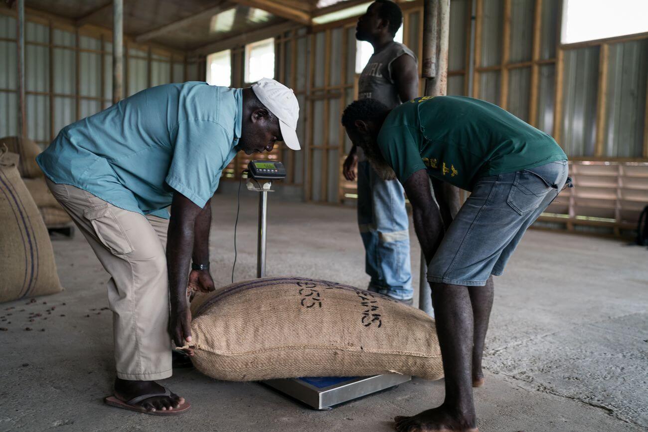 Cocoa farmer George Tonai (right) and Theo Kisu the regional coordinatior