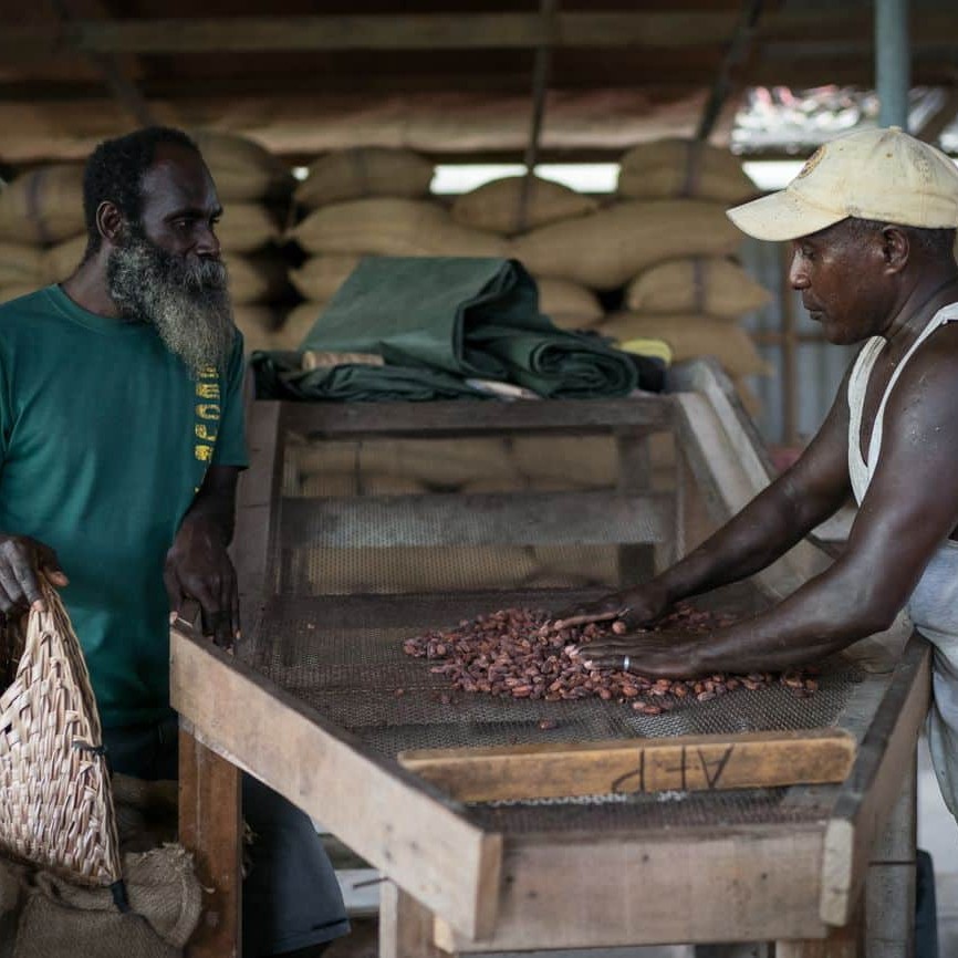 A worker from cocoa buyer Peter Joyce sifts through beans