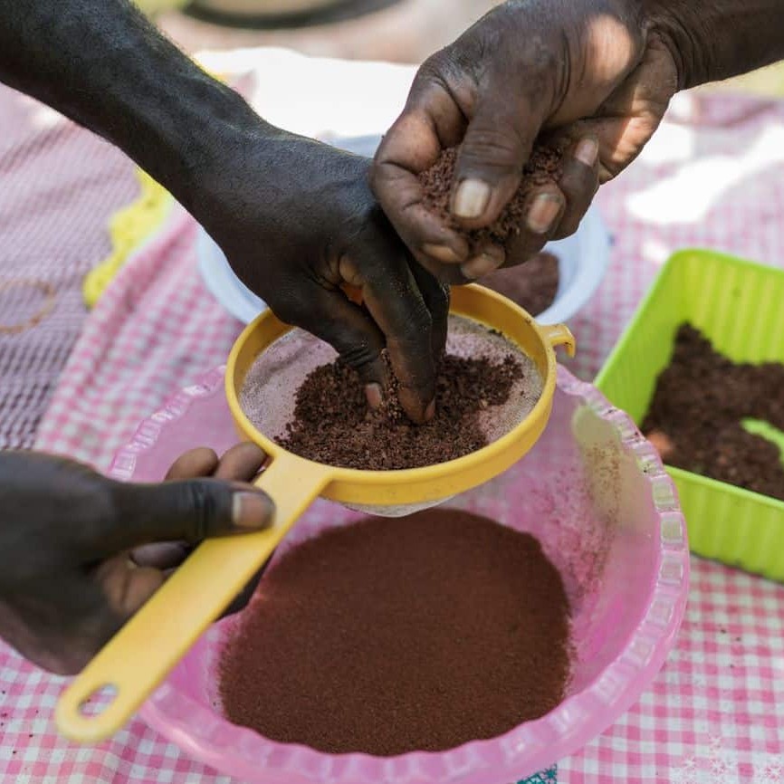 Ishmael Toroama's nephew Freddy Toroama sifts freshly ground cocoa beans
