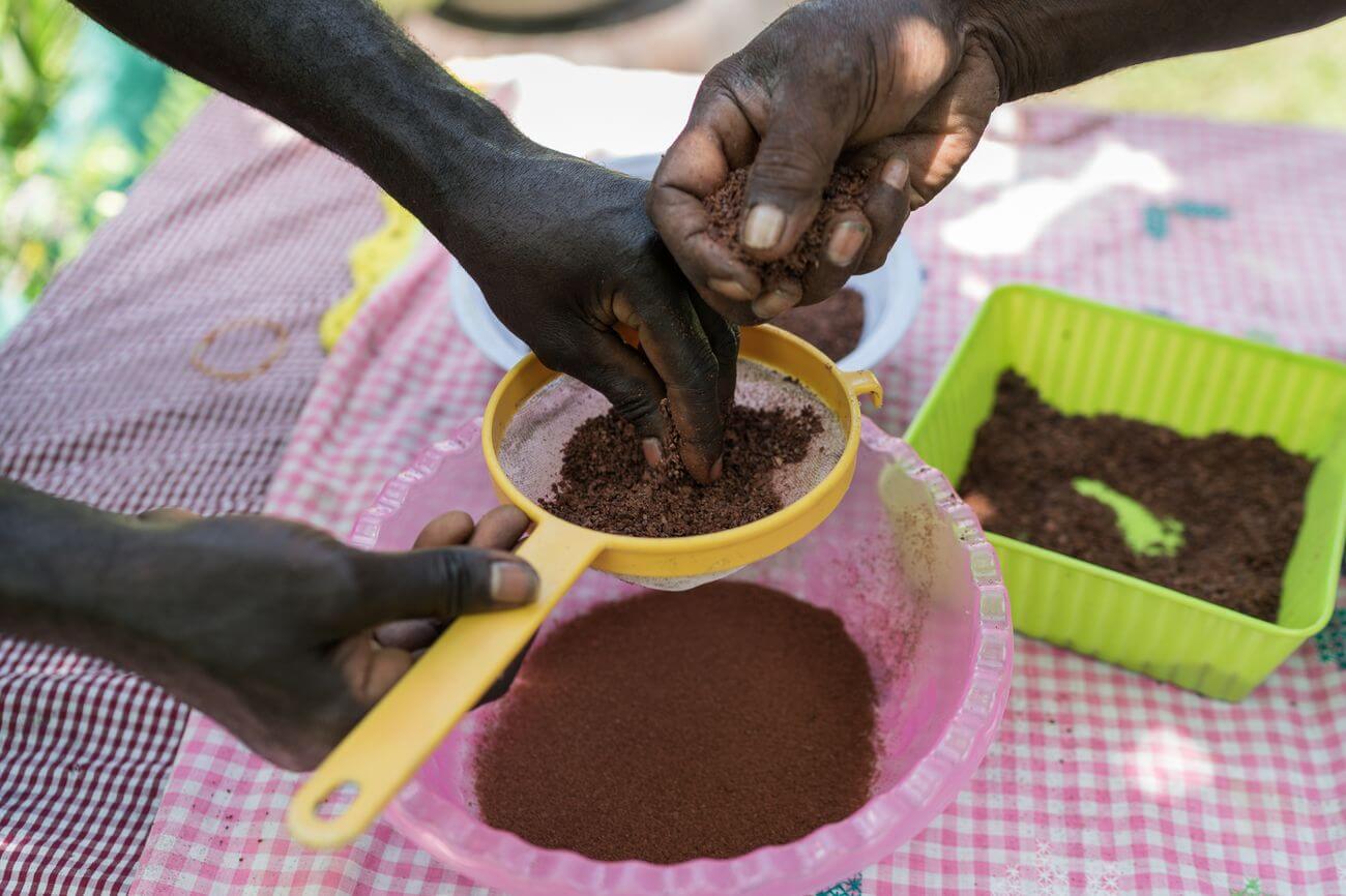 Ishmael Toroama's nephew Freddy Toroama sifts freshly ground cocoa