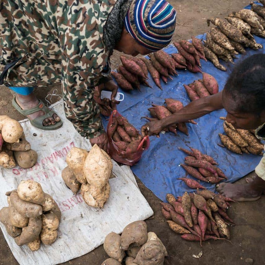 A range of kaukau (sweet potato) for sale along the roadside