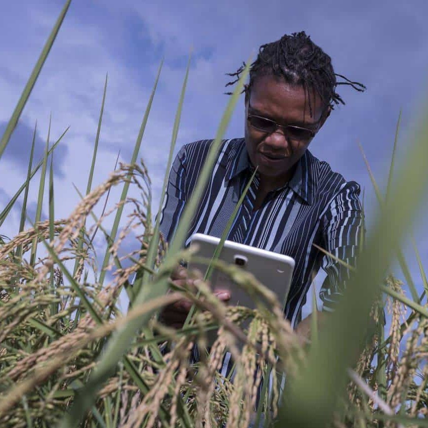 Isidora Ramita takes photos of rice as she practices using commcare surveys on tablets.
