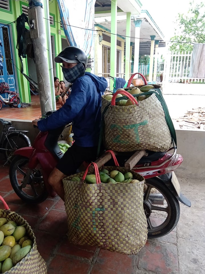 TienGiang-farmer-collector-1