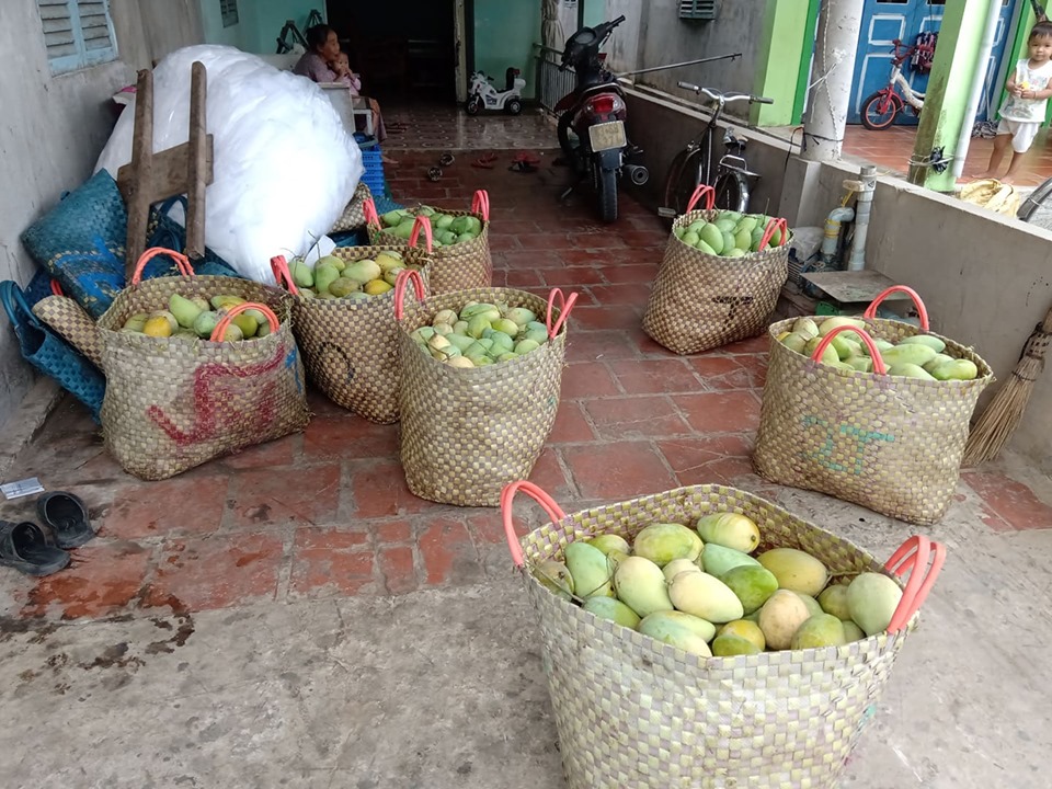 TienGiang-farmer-collector-2